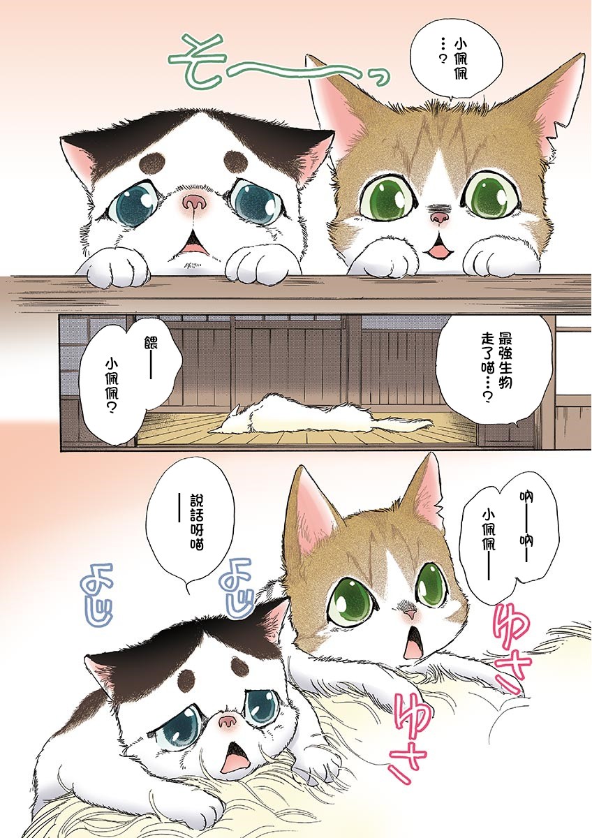 《我家狗子捡到了两只奶猫》漫画最新章节第9话免费下拉式在线观看章节第【2】张图片