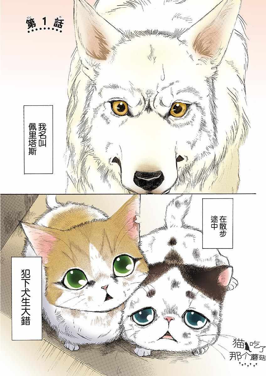 《我家狗子捡到了两只奶猫》漫画最新章节第1话免费下拉式在线观看章节第【5】张图片