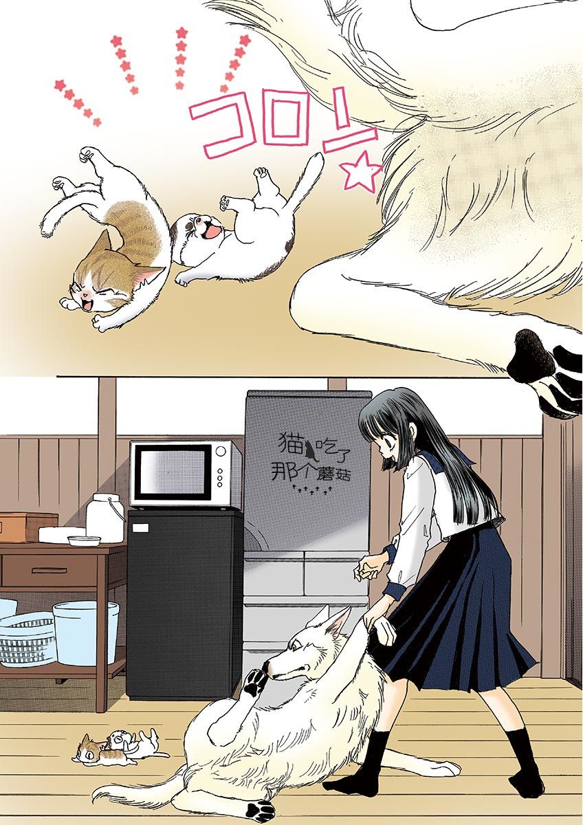 《我家狗子捡到了两只奶猫》漫画最新章节第8话免费下拉式在线观看章节第【6】张图片