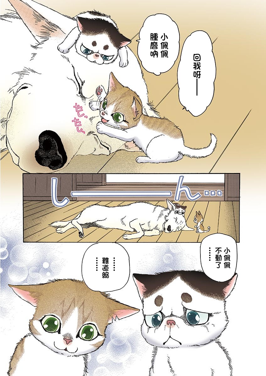 《我家狗子捡到了两只奶猫》漫画最新章节第9话免费下拉式在线观看章节第【3】张图片