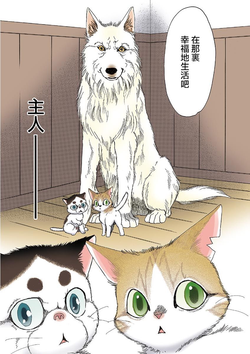 《我家狗子捡到了两只奶猫》漫画最新章节第13话免费下拉式在线观看章节第【9】张图片