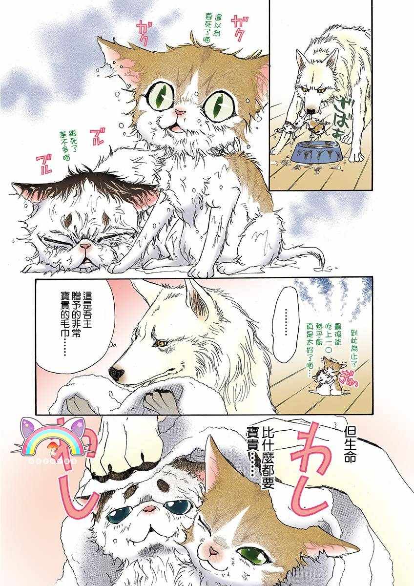 《我家狗子捡到了两只奶猫》漫画最新章节第3话免费下拉式在线观看章节第【7】张图片