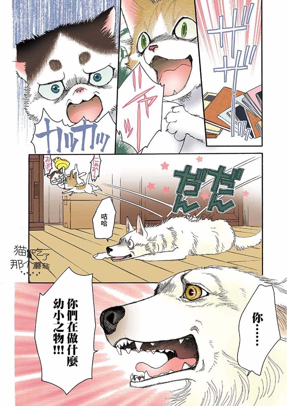 《我家狗子捡到了两只奶猫》漫画最新章节第5话免费下拉式在线观看章节第【6】张图片