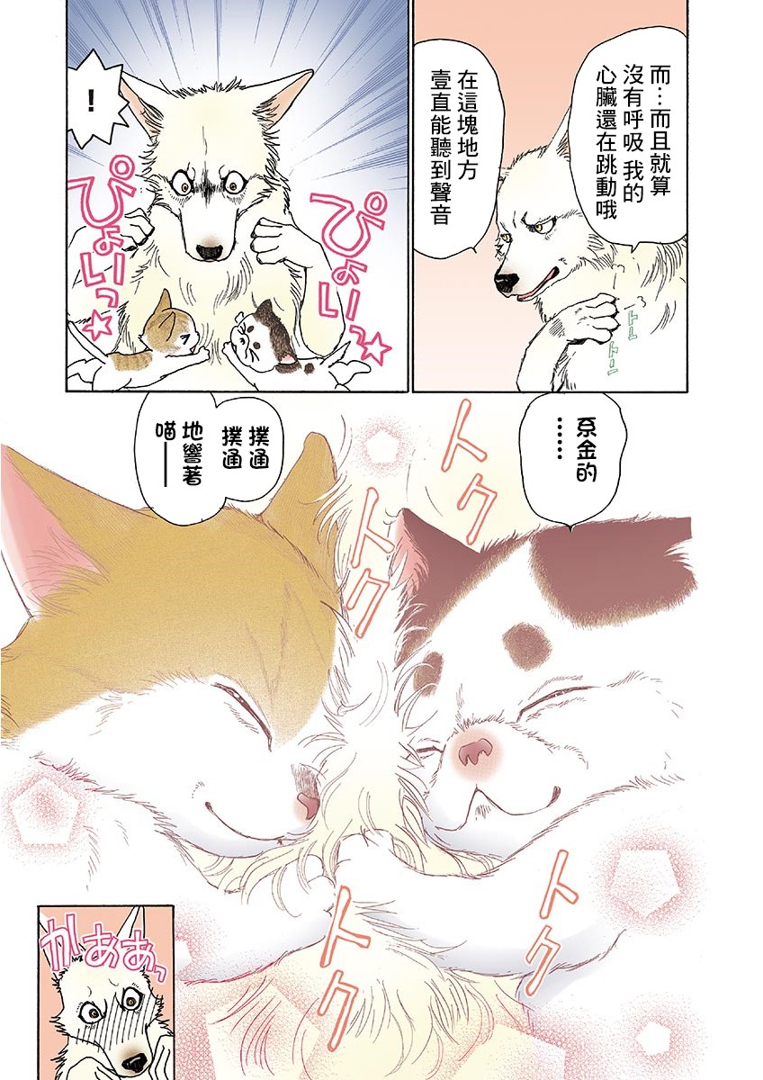 《我家狗子捡到了两只奶猫》漫画最新章节第9话免费下拉式在线观看章节第【7】张图片