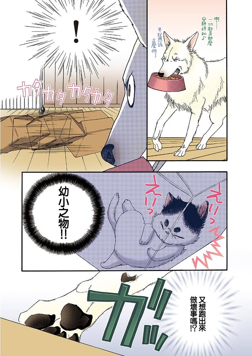 《我家狗子捡到了两只奶猫》漫画最新章节第6话免费下拉式在线观看章节第【5】张图片