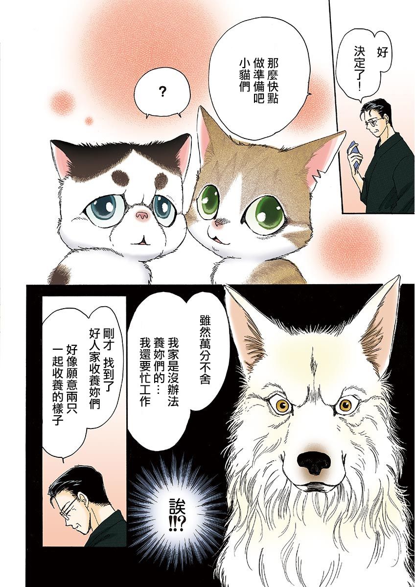 《我家狗子捡到了两只奶猫》漫画最新章节第13话免费下拉式在线观看章节第【8】张图片