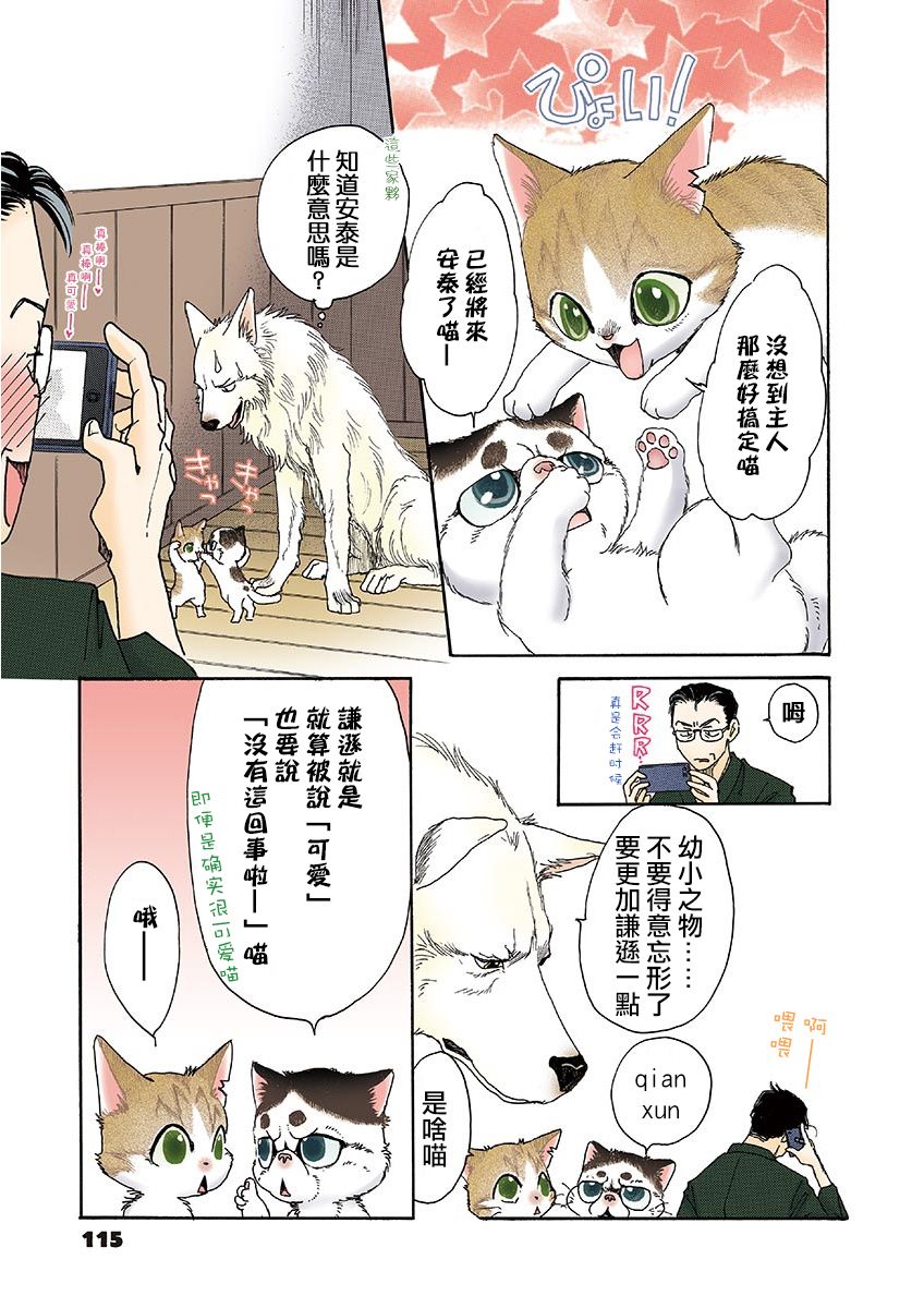 《我家狗子捡到了两只奶猫》漫画最新章节第13话免费下拉式在线观看章节第【7】张图片