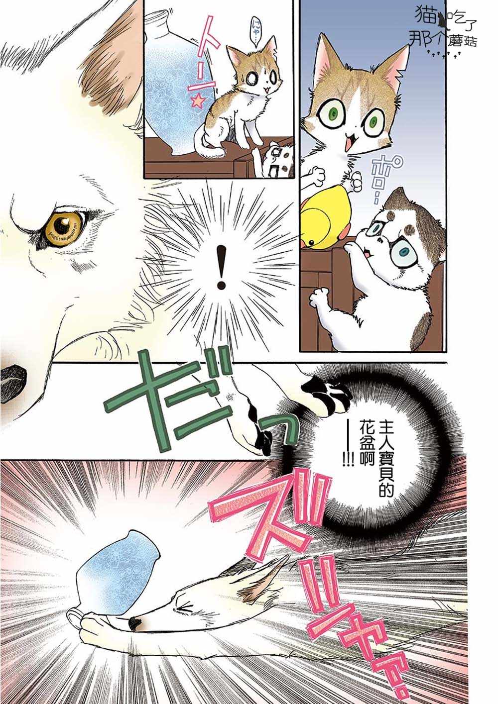 《我家狗子捡到了两只奶猫》漫画最新章节第5话免费下拉式在线观看章节第【7】张图片