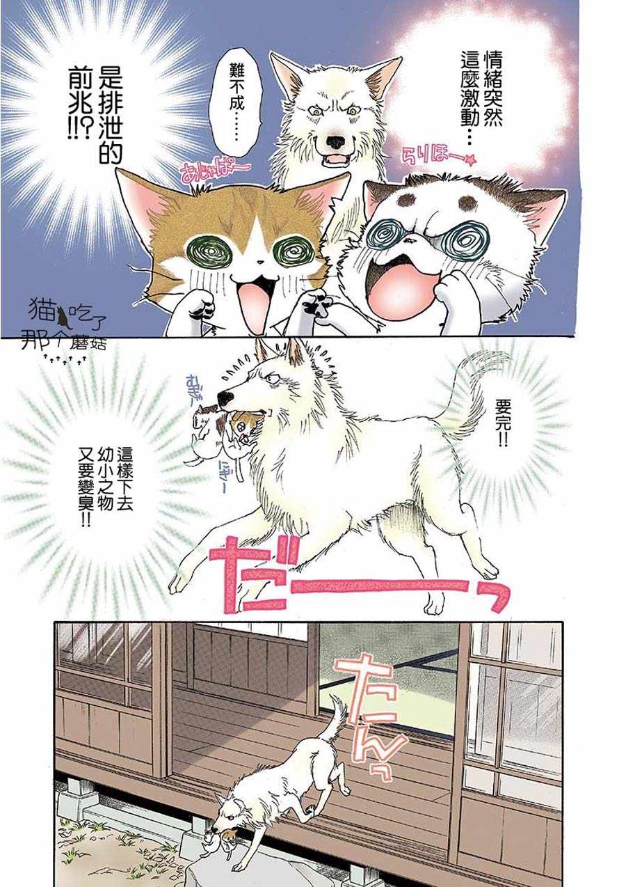 《我家狗子捡到了两只奶猫》漫画最新章节第4话免费下拉式在线观看章节第【5】张图片