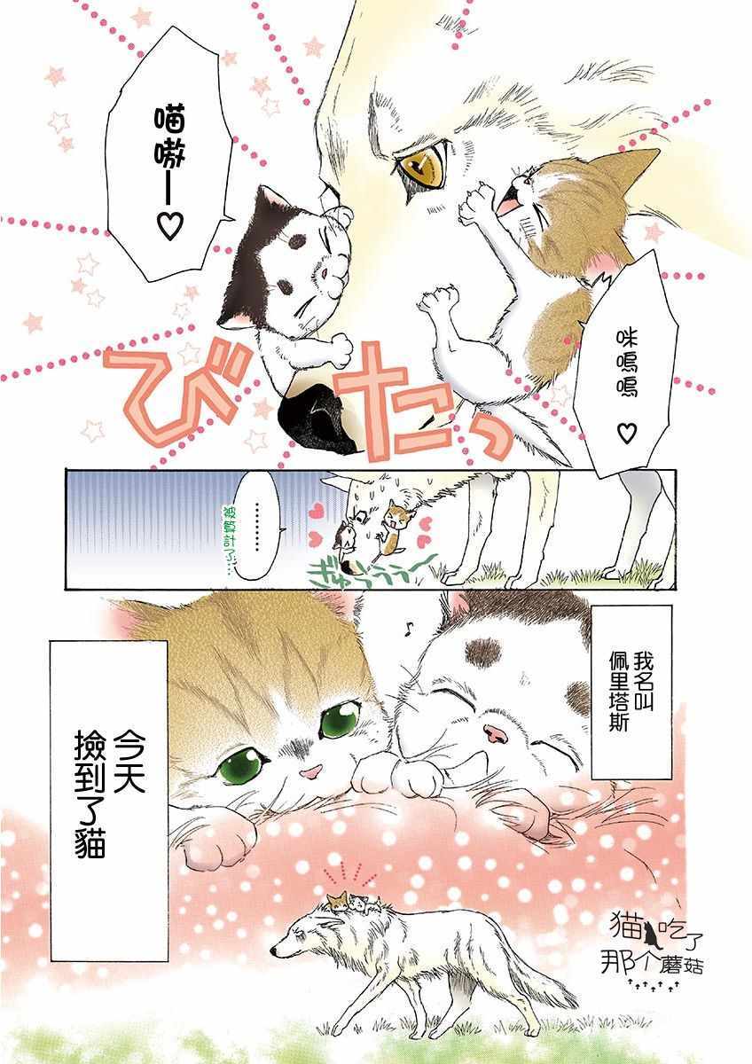 《我家狗子捡到了两只奶猫》漫画最新章节第1话免费下拉式在线观看章节第【9】张图片