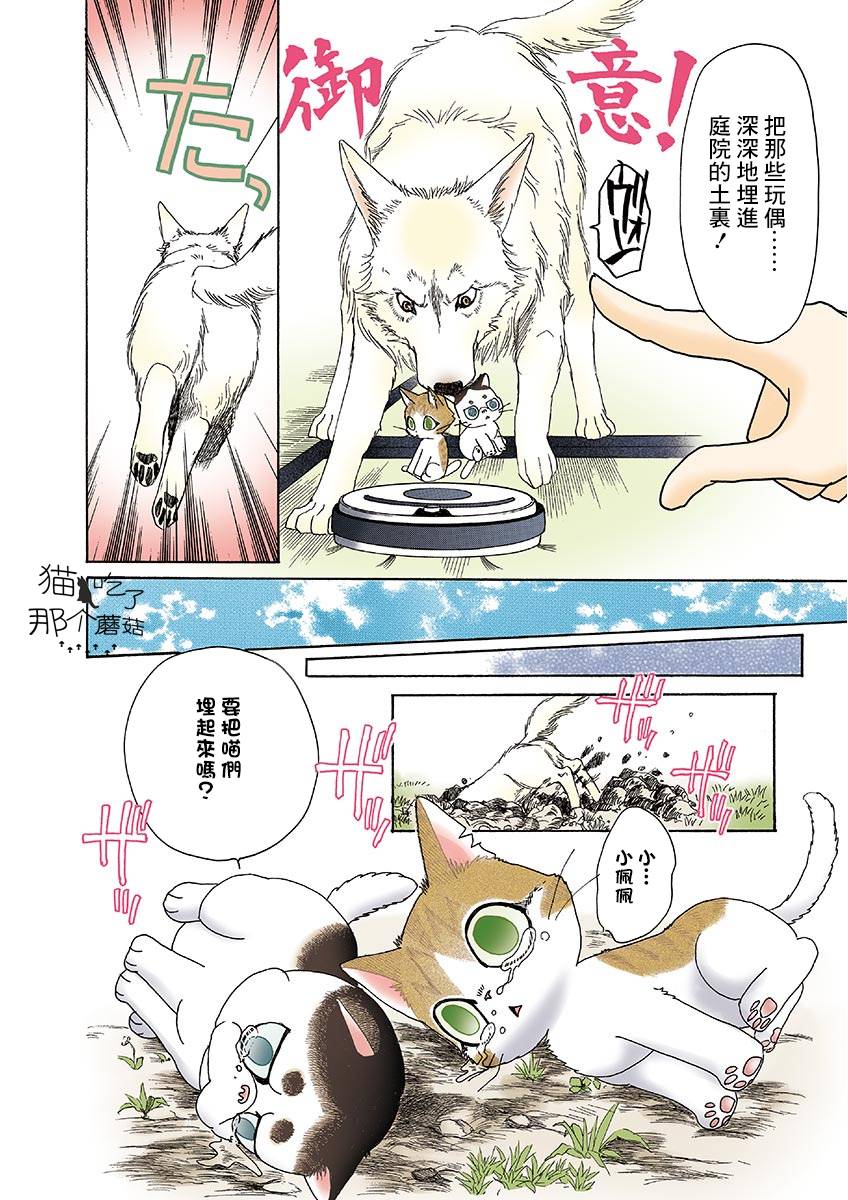 《我家狗子捡到了两只奶猫》漫画最新章节第11话免费下拉式在线观看章节第【8】张图片