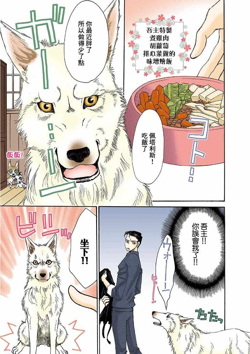 《我家狗子捡到了两只奶猫》漫画最新章节第3话免费下拉式在线观看章节第【3】张图片