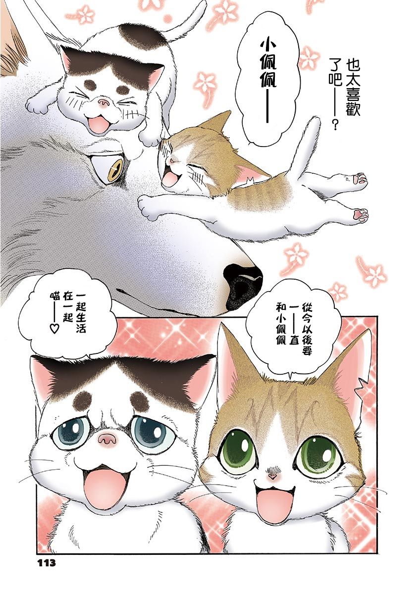 《我家狗子捡到了两只奶猫》漫画最新章节第13话免费下拉式在线观看章节第【5】张图片