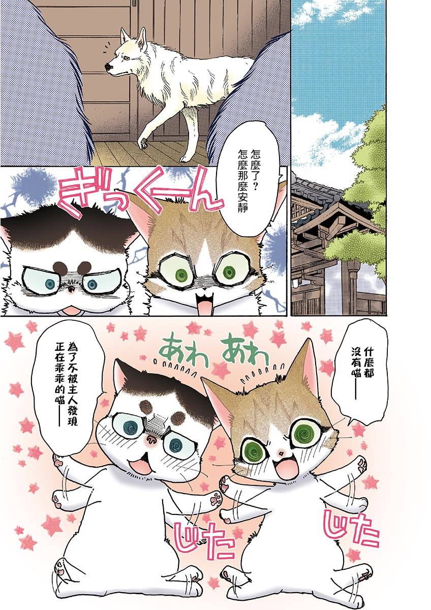 《我家狗子捡到了两只奶猫》漫画最新章节第10话免费下拉式在线观看章节第【3】张图片