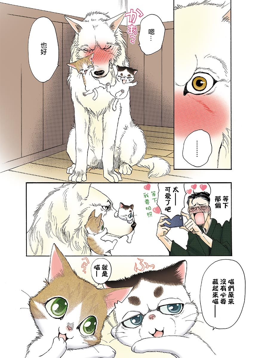 《我家狗子捡到了两只奶猫》漫画最新章节第13话免费下拉式在线观看章节第【6】张图片