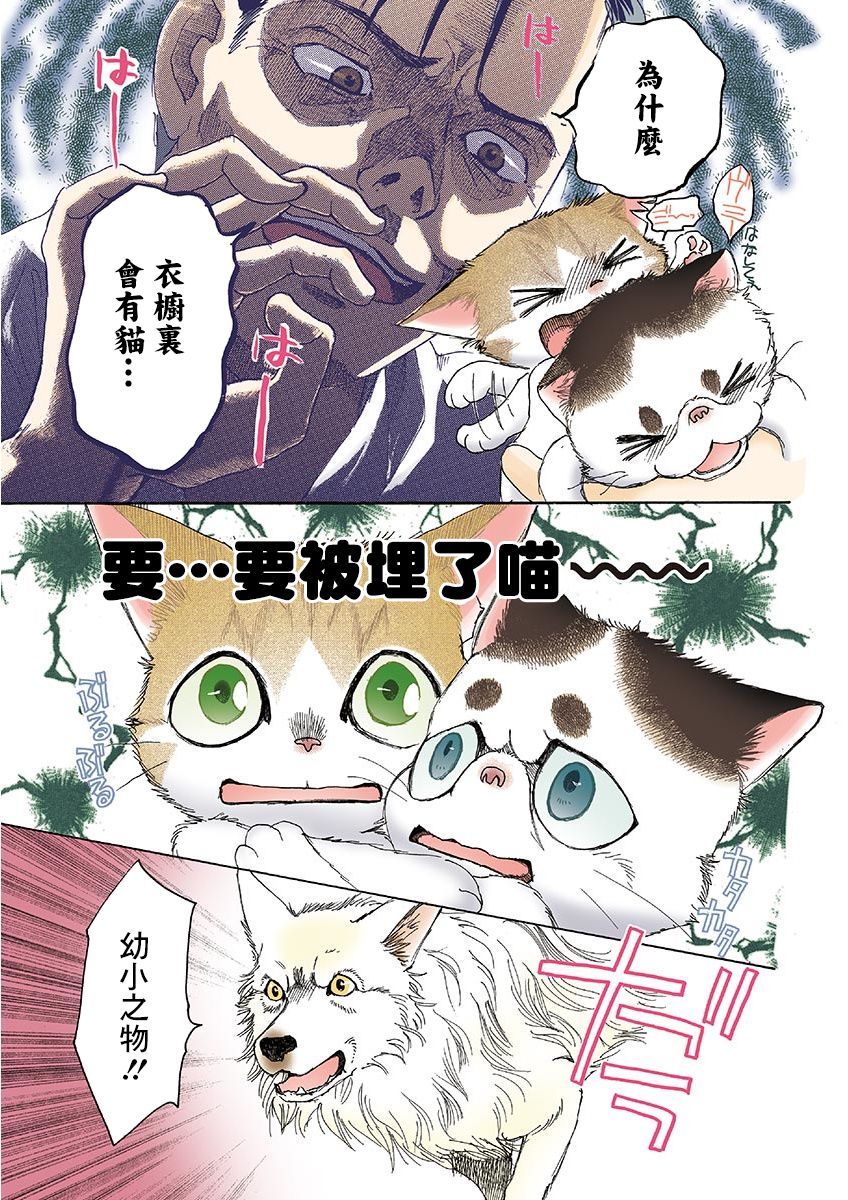 《我家狗子捡到了两只奶猫》漫画最新章节第12话免费下拉式在线观看章节第【7】张图片