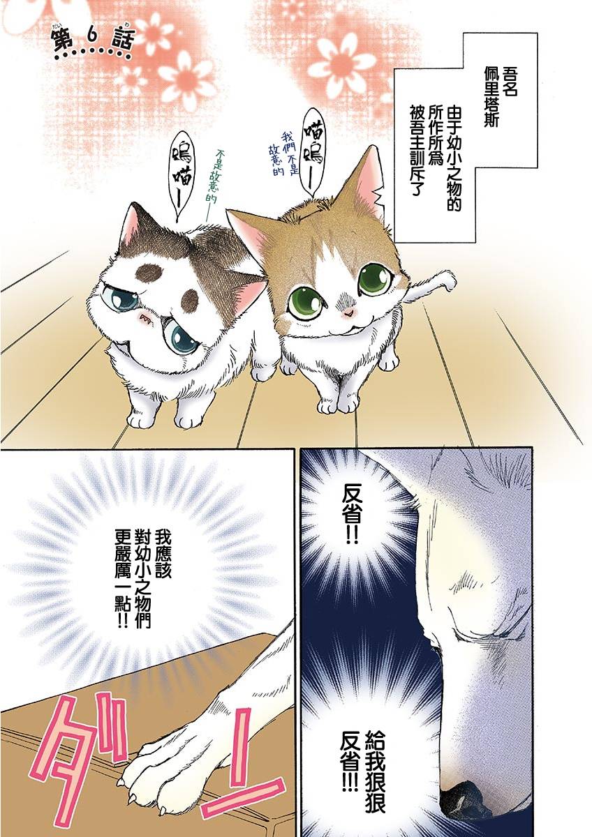 《我家狗子捡到了两只奶猫》漫画最新章节第6话免费下拉式在线观看章节第【1】张图片