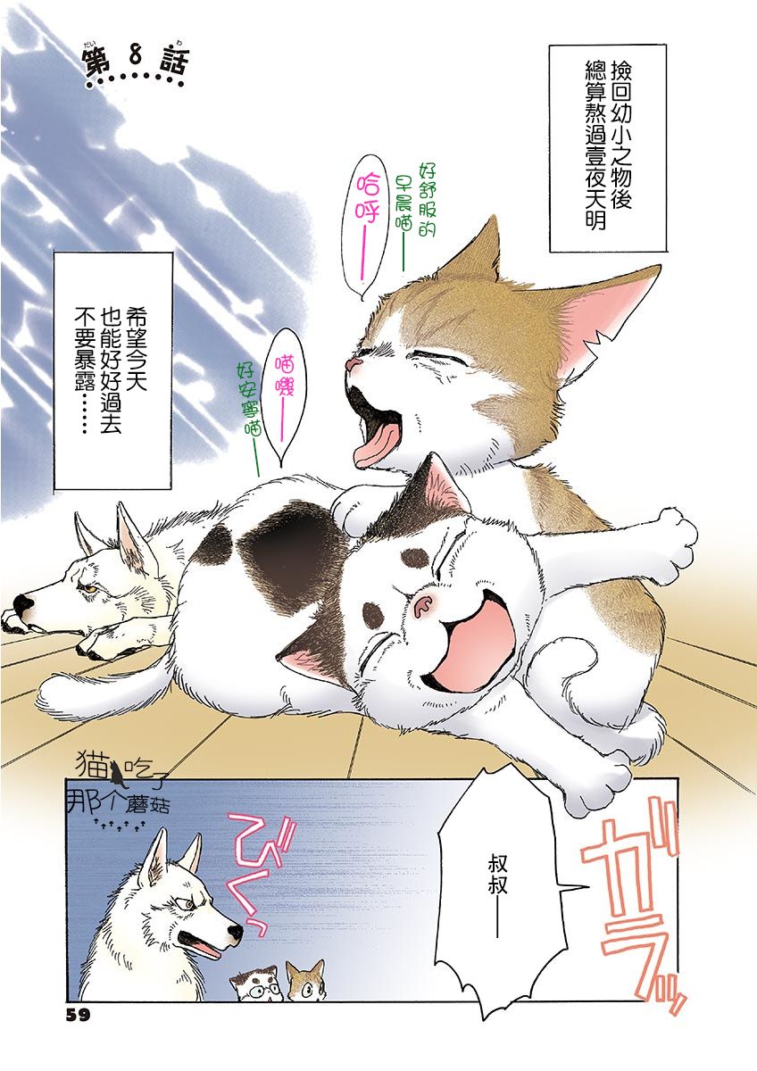 《我家狗子捡到了两只奶猫》漫画最新章节第8话免费下拉式在线观看章节第【1】张图片