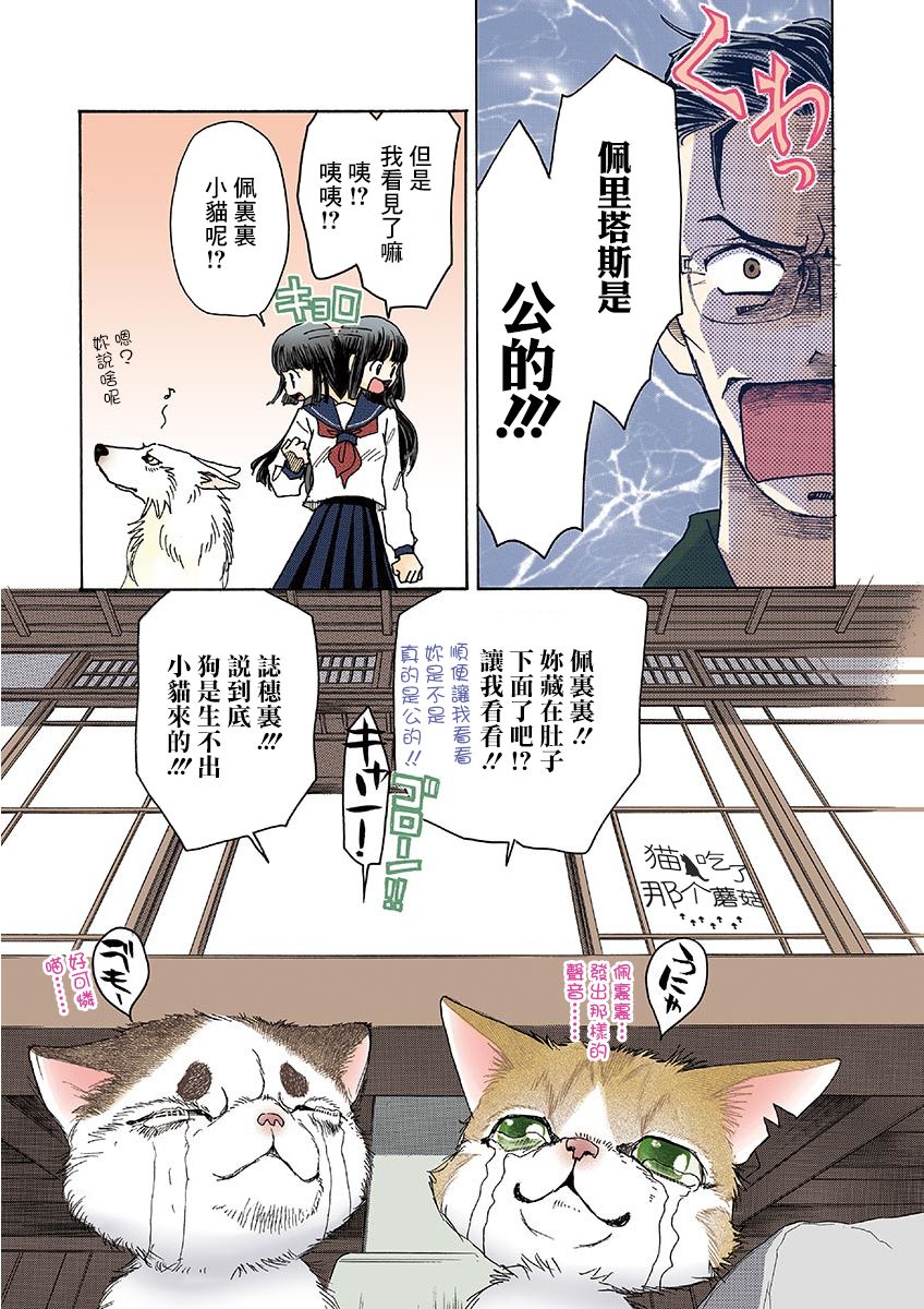 《我家狗子捡到了两只奶猫》漫画最新章节第8话免费下拉式在线观看章节第【9】张图片