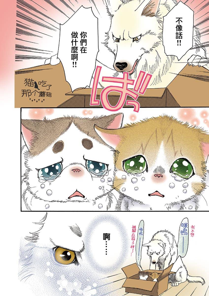 《我家狗子捡到了两只奶猫》漫画最新章节第6话免费下拉式在线观看章节第【6】张图片