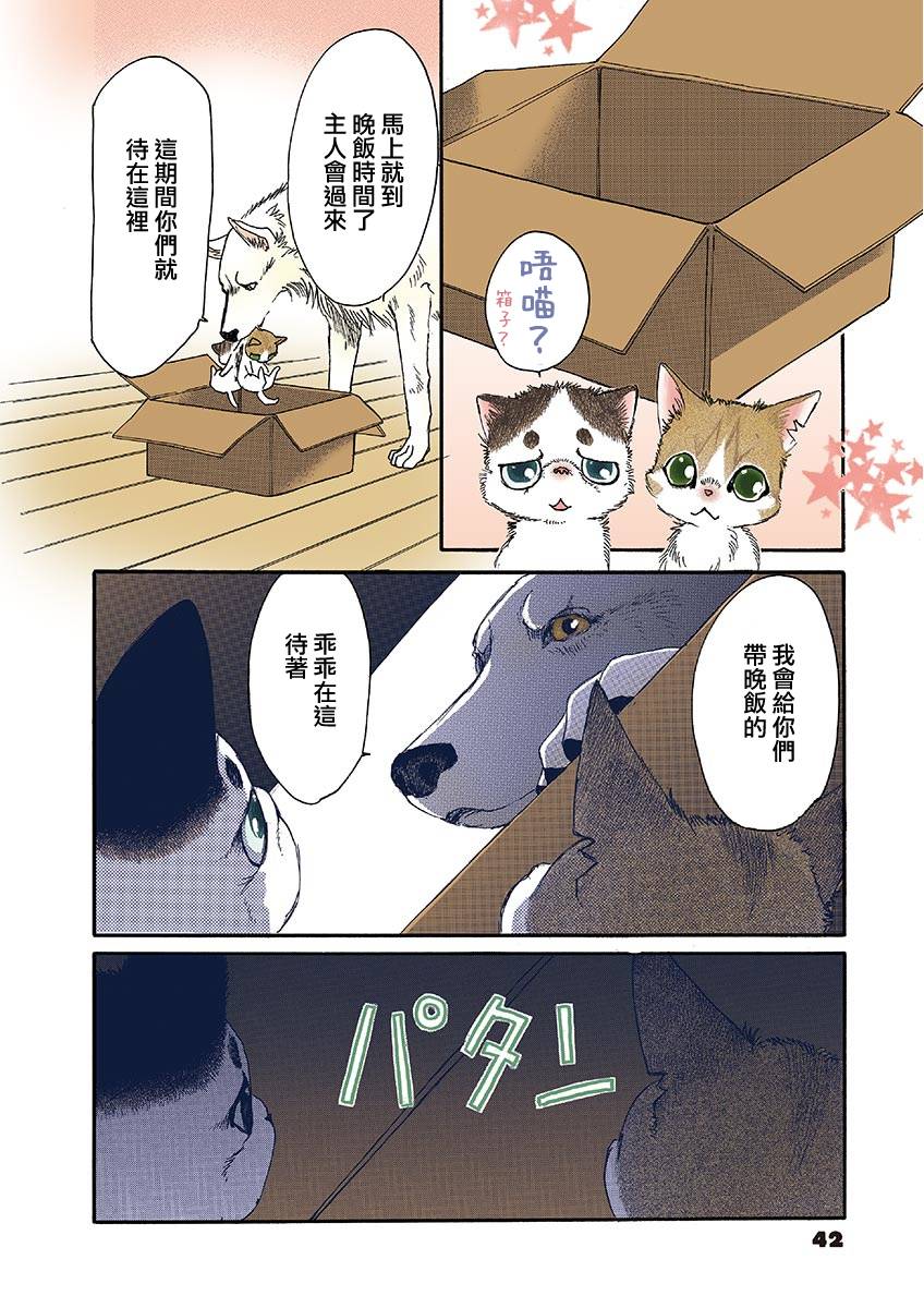 《我家狗子捡到了两只奶猫》漫画最新章节第6话免费下拉式在线观看章节第【2】张图片