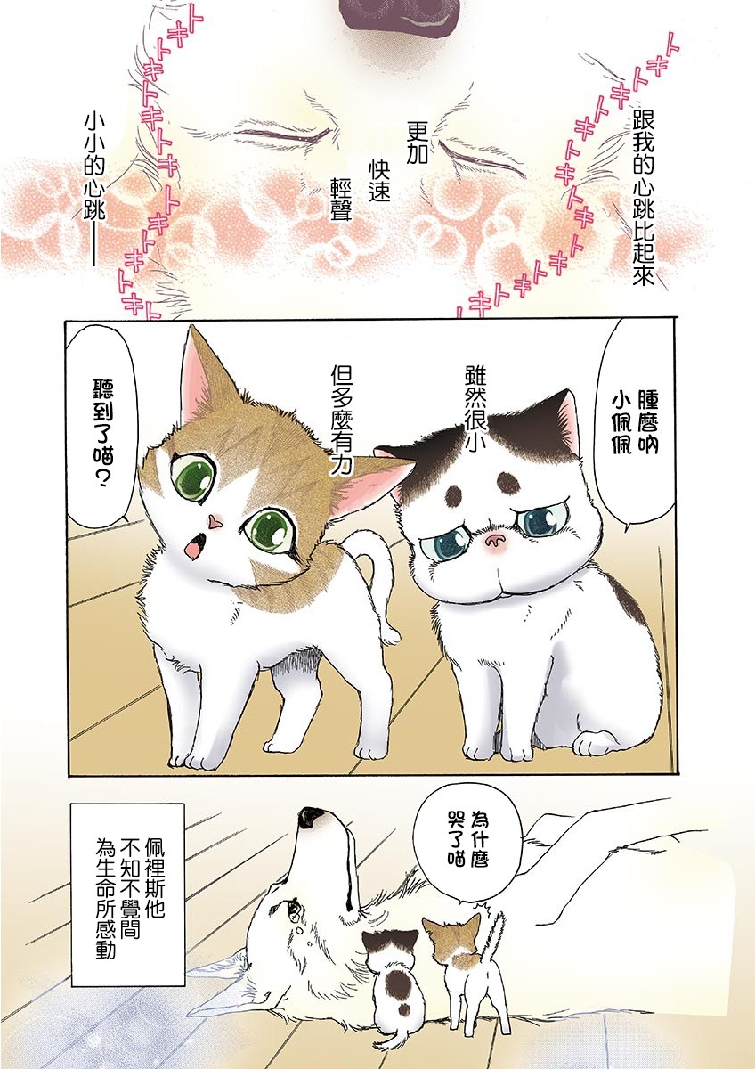 《我家狗子捡到了两只奶猫》漫画最新章节第9话免费下拉式在线观看章节第【9】张图片