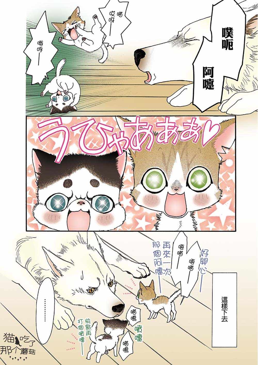 《我家狗子捡到了两只奶猫》漫画最新章节第5话免费下拉式在线观看章节第【2】张图片