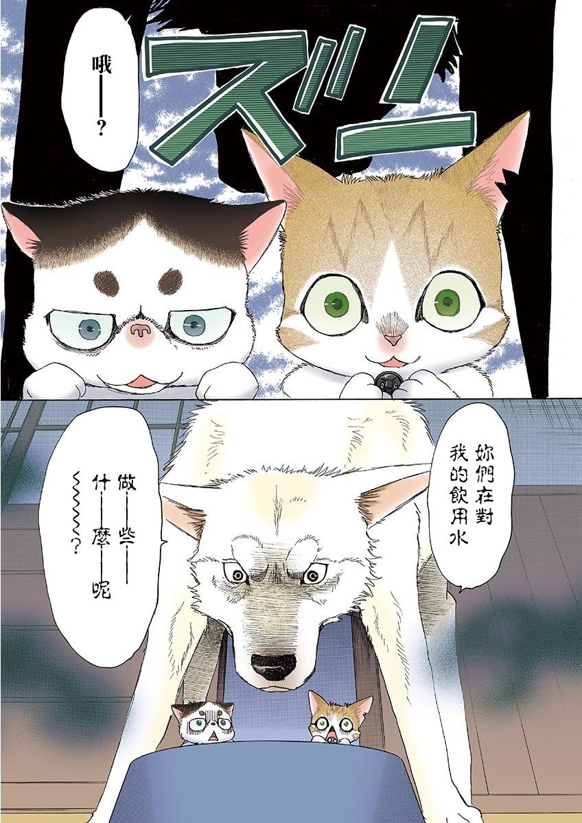 《我家狗子捡到了两只奶猫》漫画最新章节第10话免费下拉式在线观看章节第【7】张图片