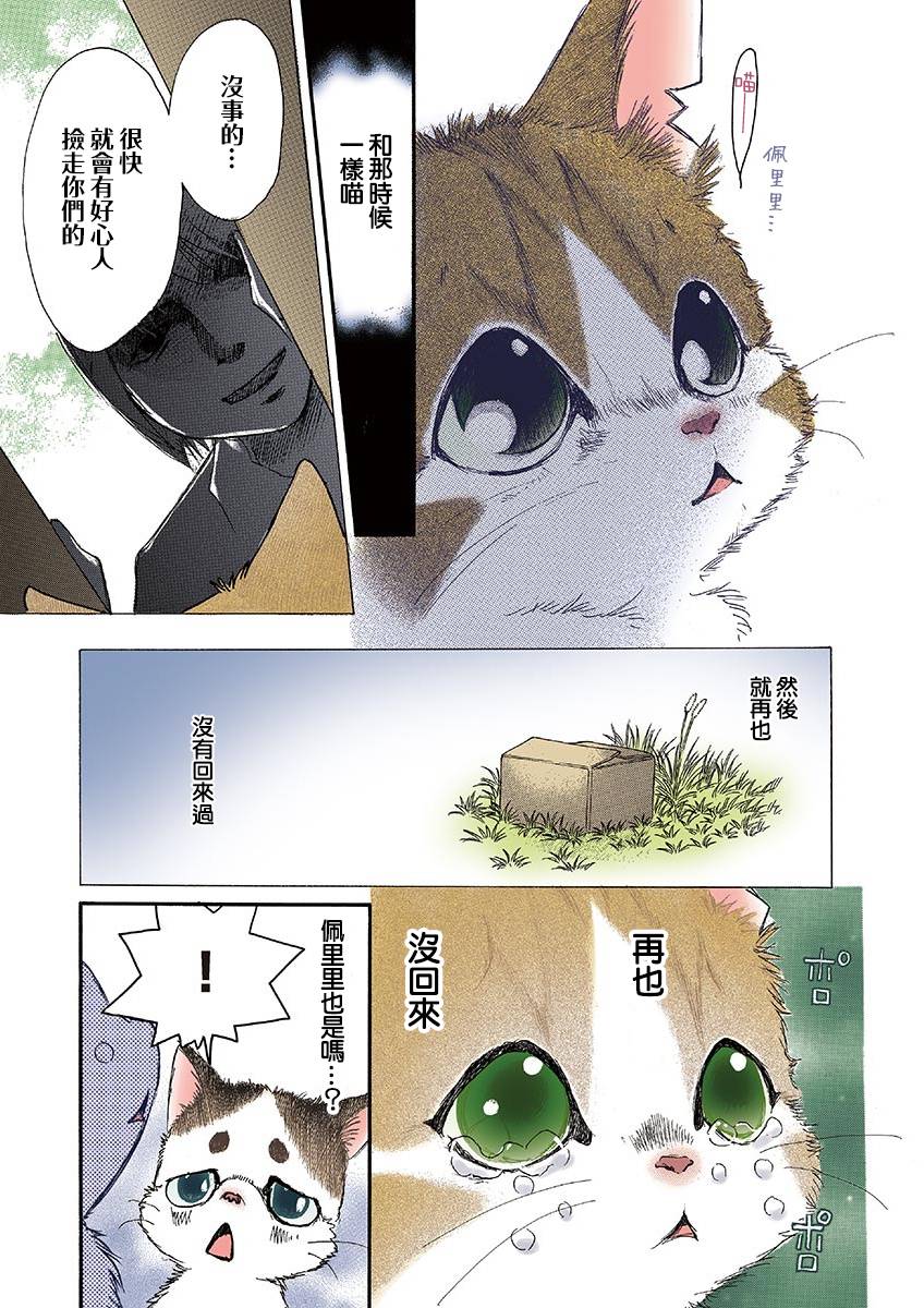 《我家狗子捡到了两只奶猫》漫画最新章节第6话免费下拉式在线观看章节第【3】张图片