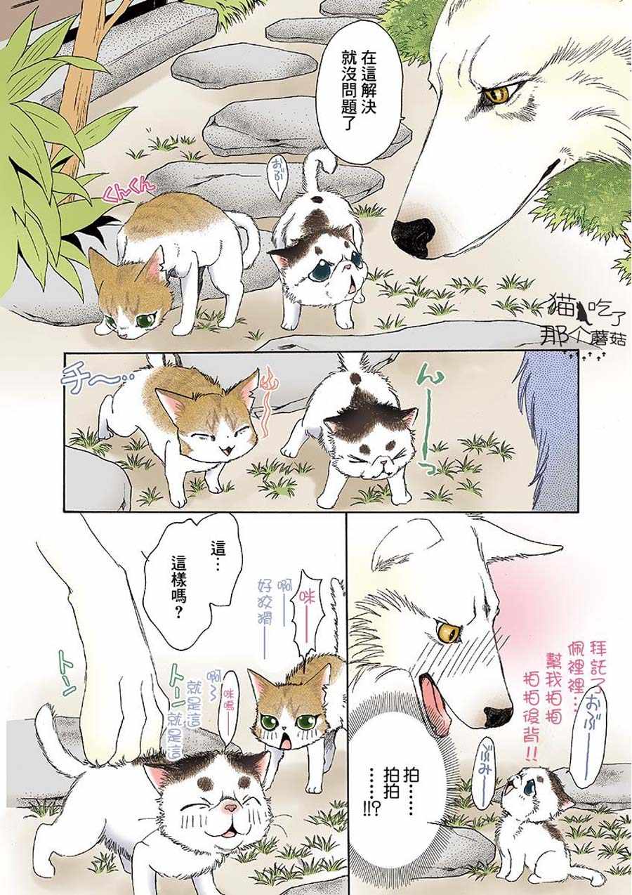 《我家狗子捡到了两只奶猫》漫画最新章节第4话免费下拉式在线观看章节第【6】张图片