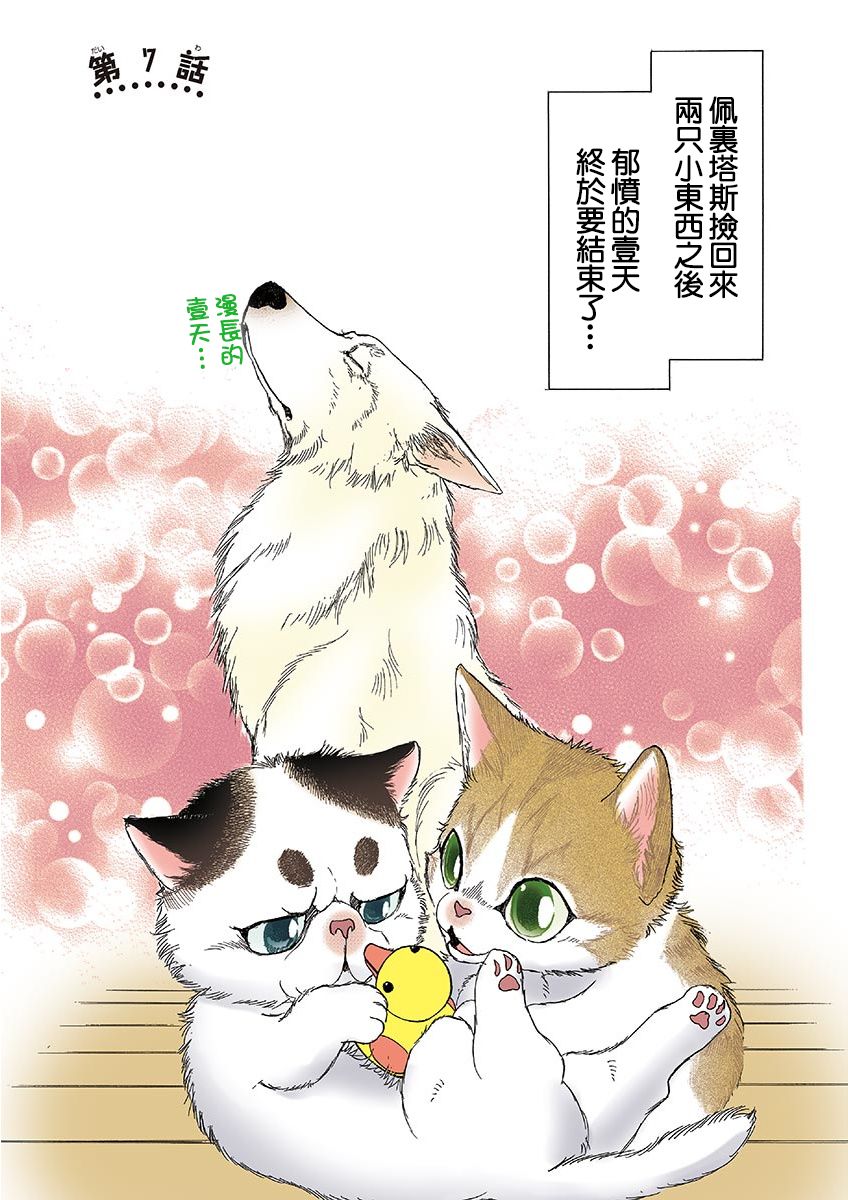 《我家狗子捡到了两只奶猫》漫画最新章节第7话免费下拉式在线观看章节第【1】张图片