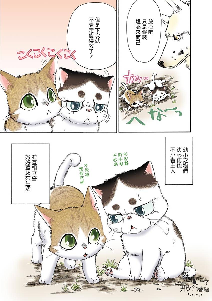 《我家狗子捡到了两只奶猫》漫画最新章节第11话免费下拉式在线观看章节第【9】张图片