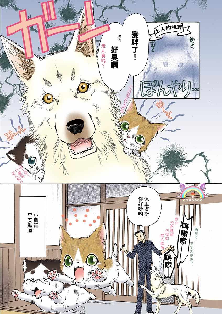 《我家狗子捡到了两只奶猫》漫画最新章节第2话免费下拉式在线观看章节第【6】张图片