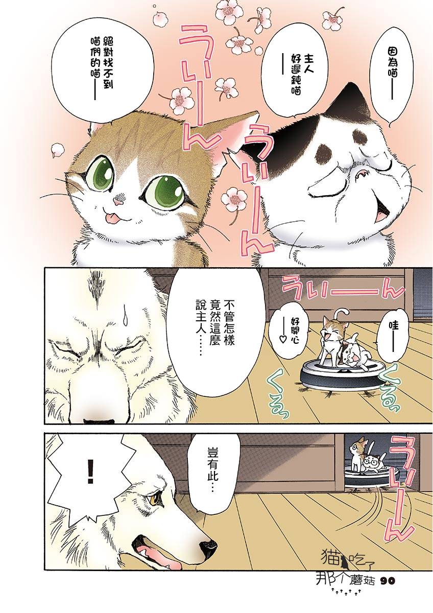 《我家狗子捡到了两只奶猫》漫画最新章节第11话免费下拉式在线观看章节第【2】张图片