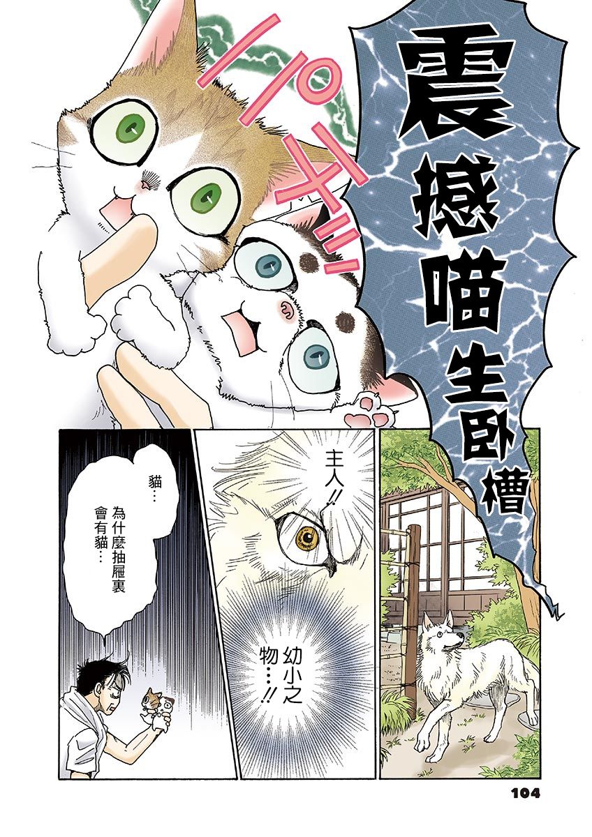 《我家狗子捡到了两只奶猫》漫画最新章节第12话免费下拉式在线观看章节第【6】张图片