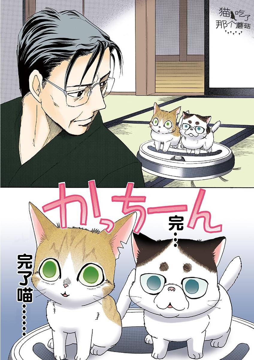 《我家狗子捡到了两只奶猫》漫画最新章节第11话免费下拉式在线观看章节第【5】张图片