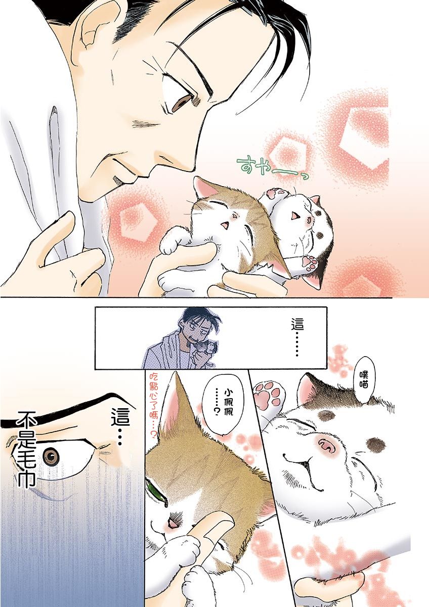 《我家狗子捡到了两只奶猫》漫画最新章节第12话免费下拉式在线观看章节第【5】张图片