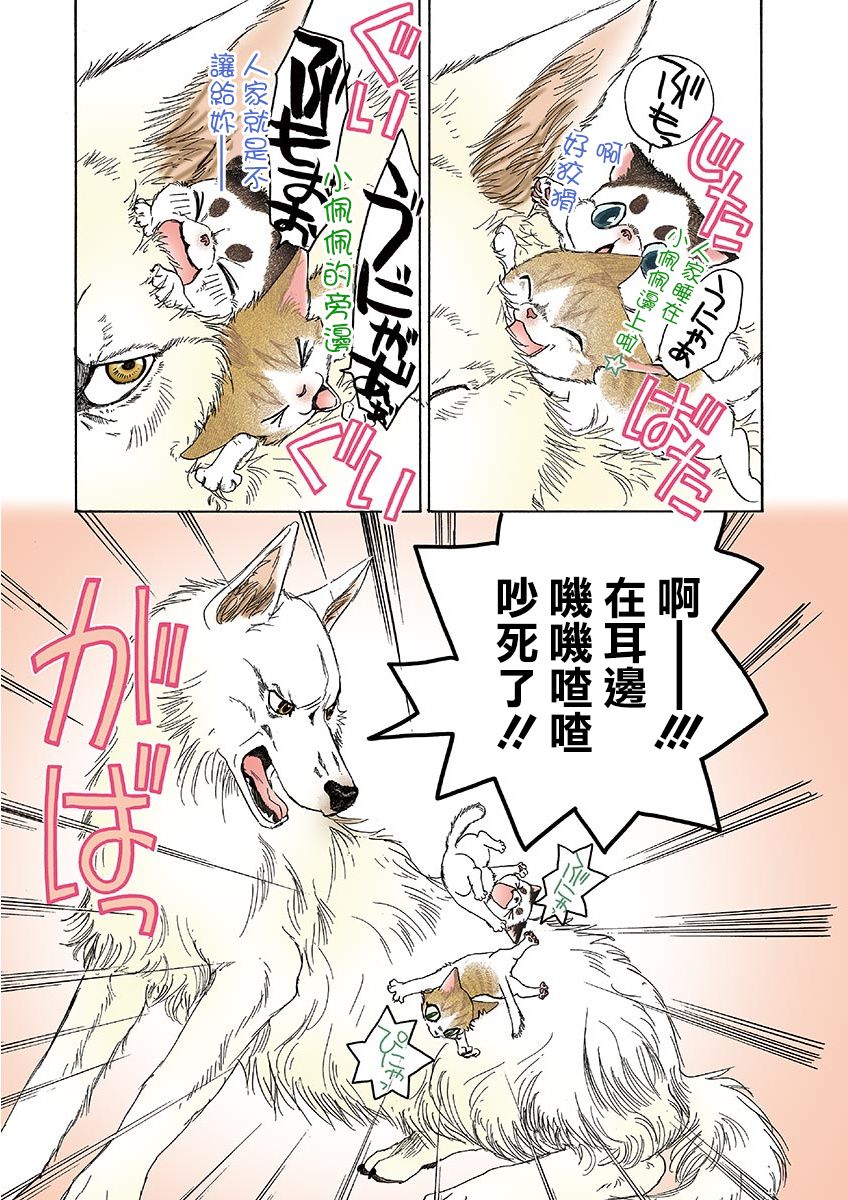 《我家狗子捡到了两只奶猫》漫画最新章节第7话免费下拉式在线观看章节第【3】张图片