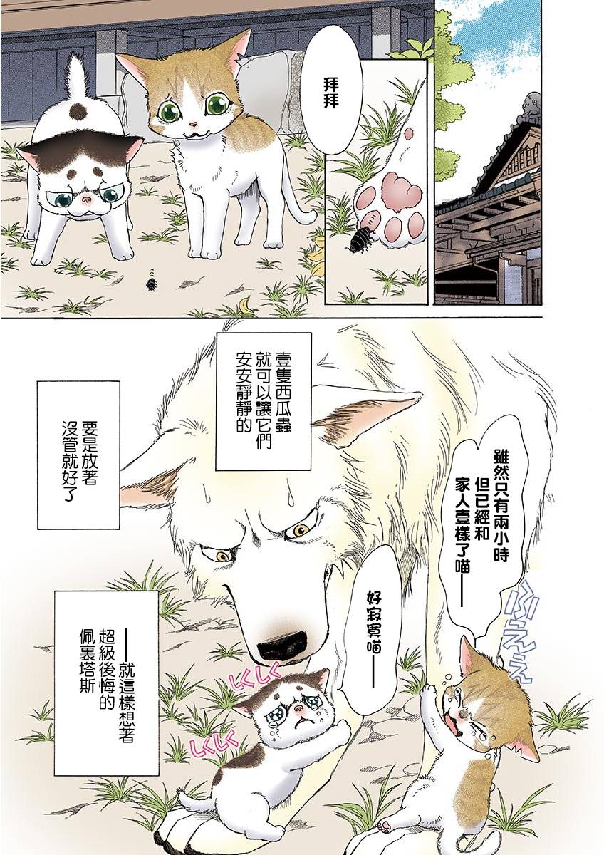 《我家狗子捡到了两只奶猫》漫画最新章节第10话免费下拉式在线观看章节第【9】张图片