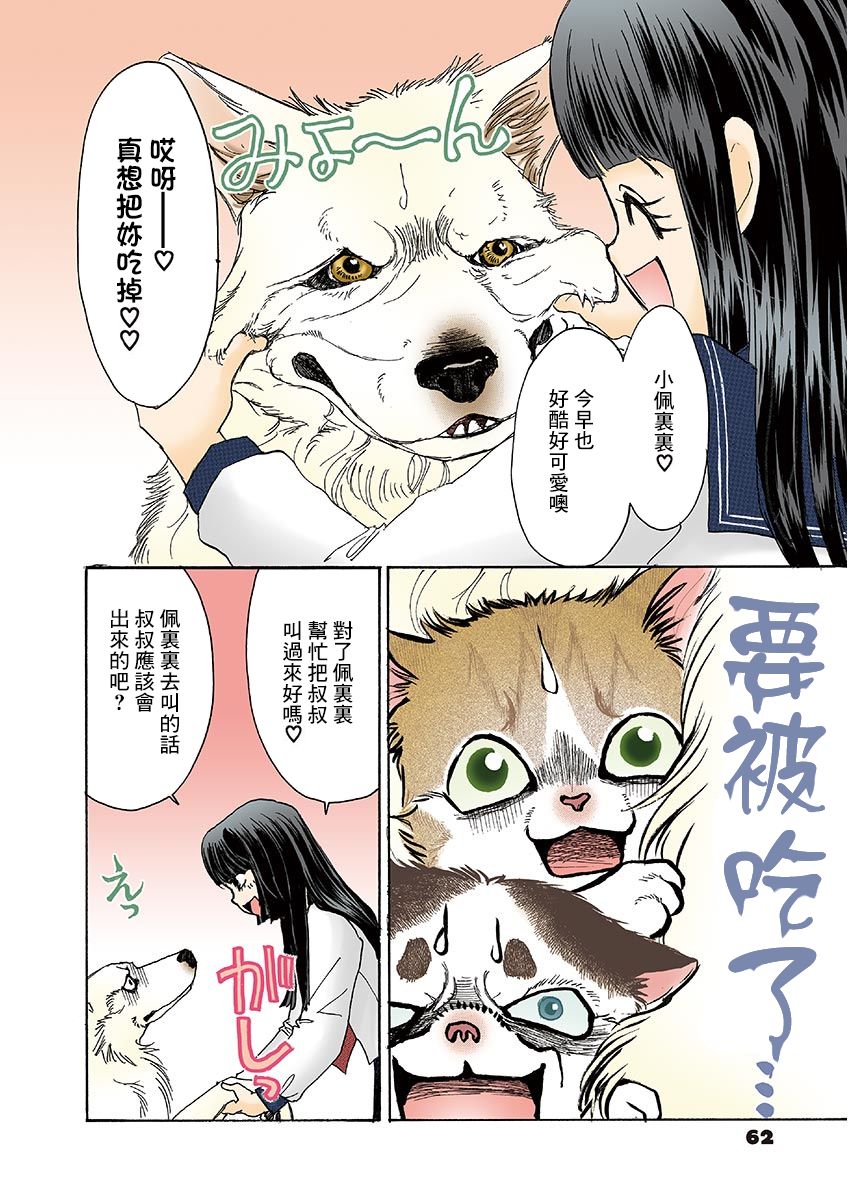 《我家狗子捡到了两只奶猫》漫画最新章节第8话免费下拉式在线观看章节第【4】张图片