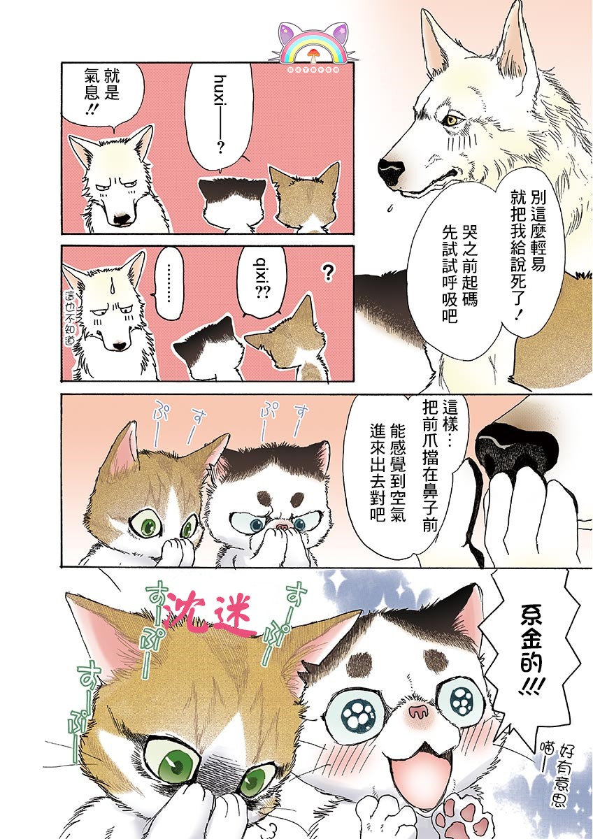 《我家狗子捡到了两只奶猫》漫画最新章节第9话免费下拉式在线观看章节第【6】张图片