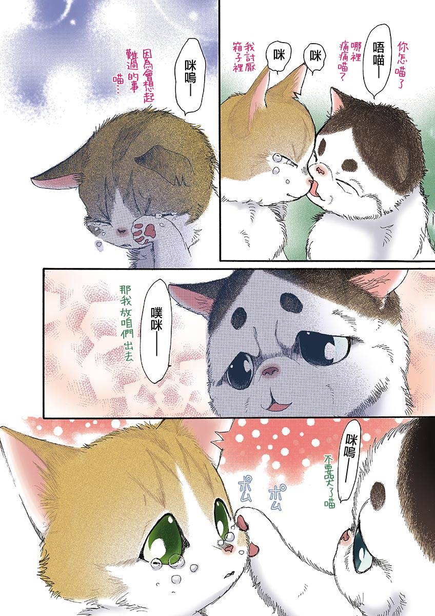 《我家狗子捡到了两只奶猫》漫画最新章节第6话免费下拉式在线观看章节第【4】张图片