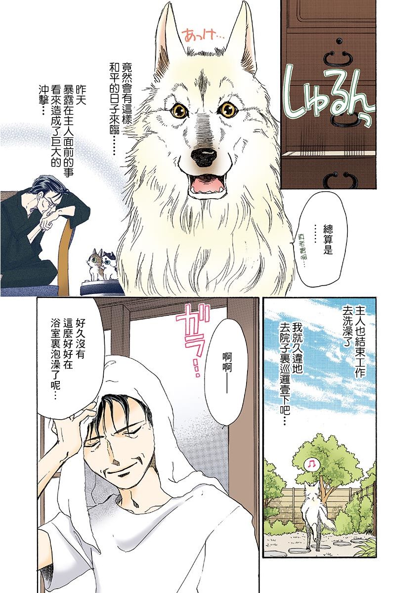 《我家狗子捡到了两只奶猫》漫画最新章节第12话免费下拉式在线观看章节第【3】张图片