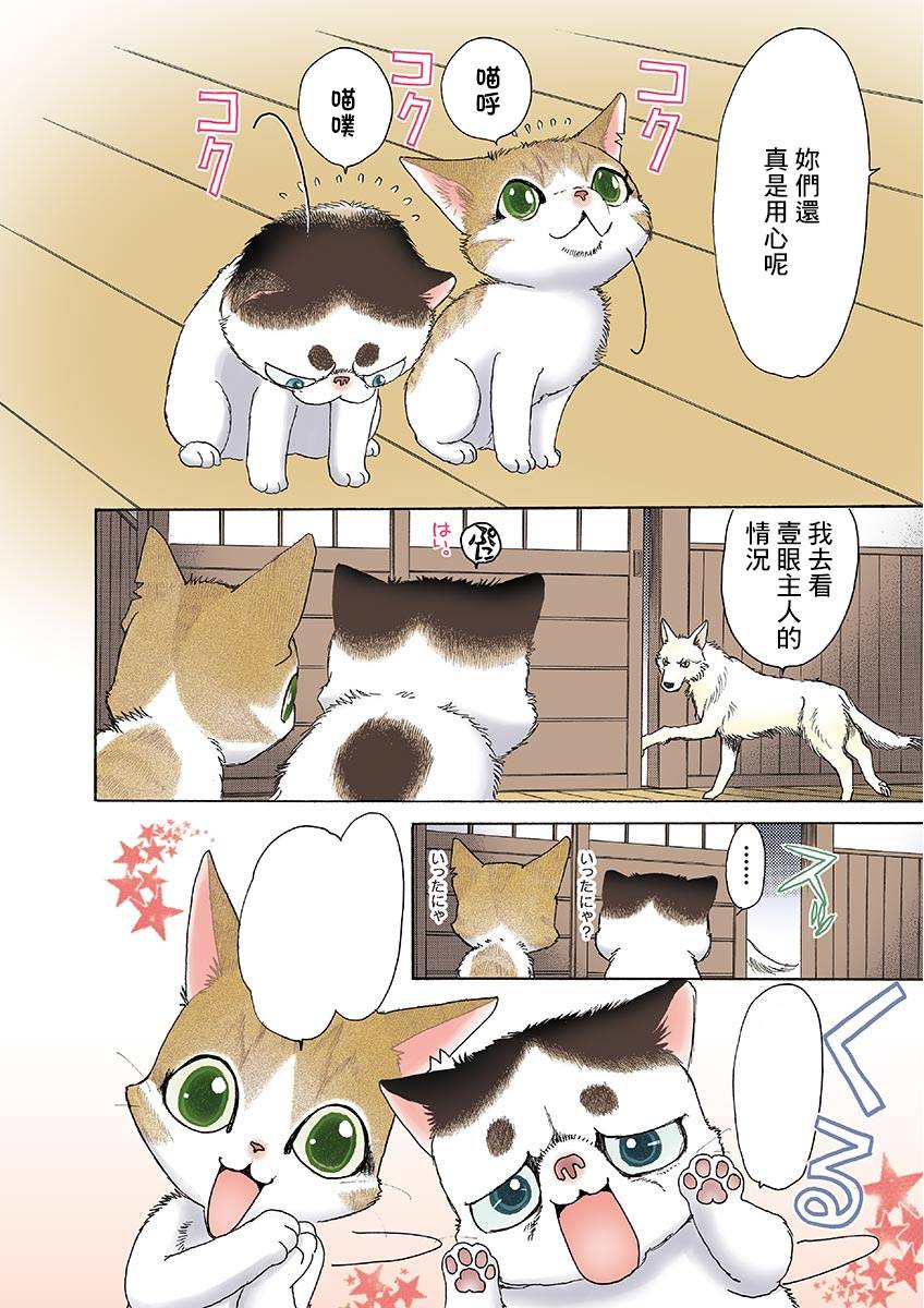 《我家狗子捡到了两只奶猫》漫画最新章节第10话免费下拉式在线观看章节第【4】张图片