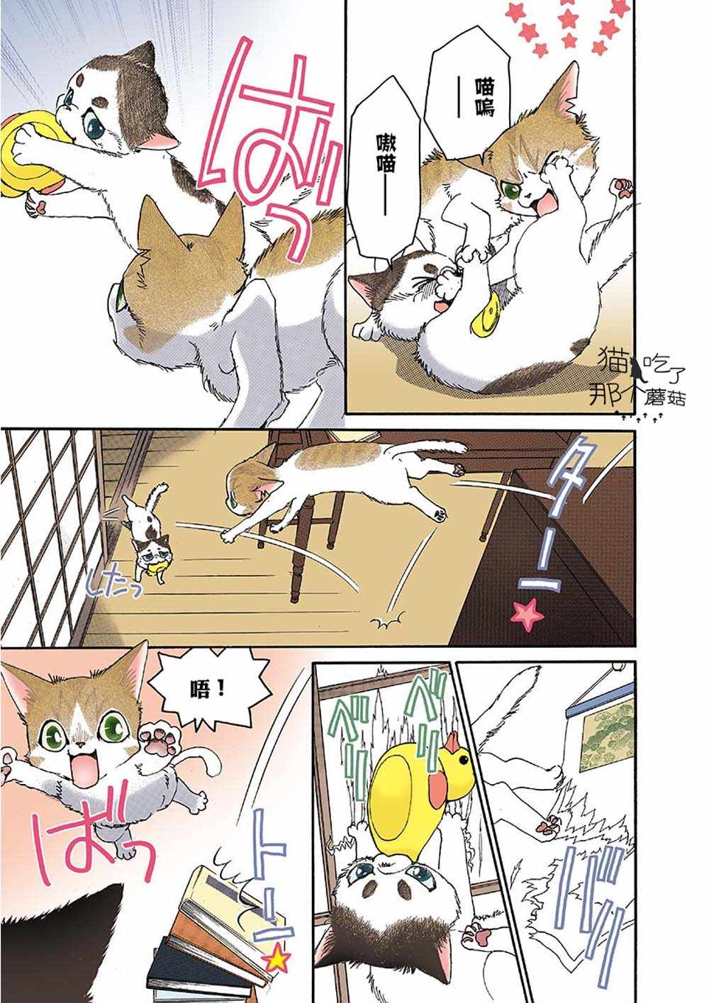 《我家狗子捡到了两只奶猫》漫画最新章节第5话免费下拉式在线观看章节第【5】张图片