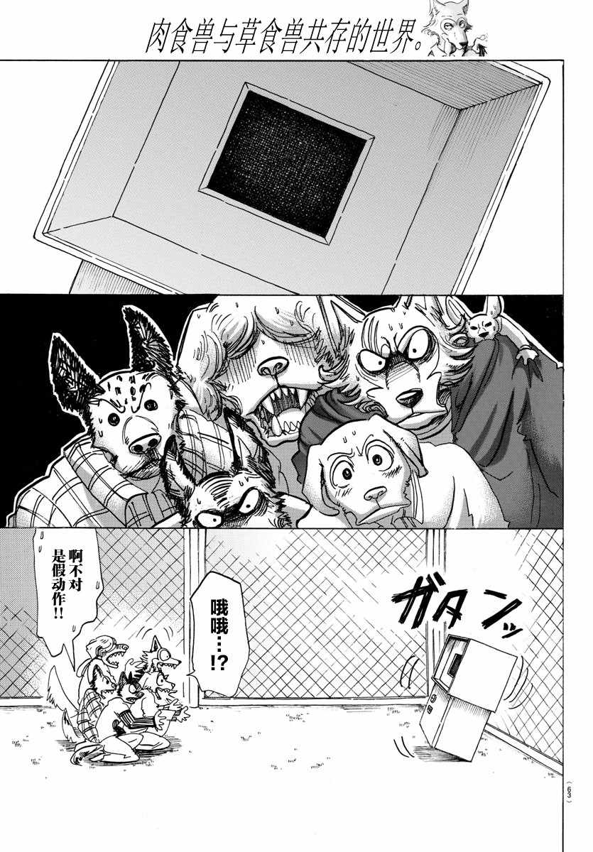 《BEASTARS》漫画最新章节第123话免费下拉式在线观看章节第【13】张图片