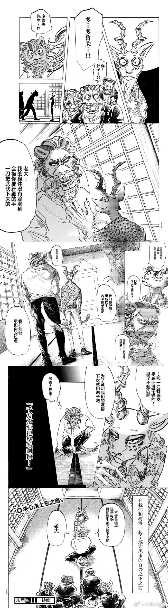 《BEASTARS》漫画最新章节第163话 不要往下看，毛会戳到眼睛的免费下拉式在线观看章节第【2】张图片