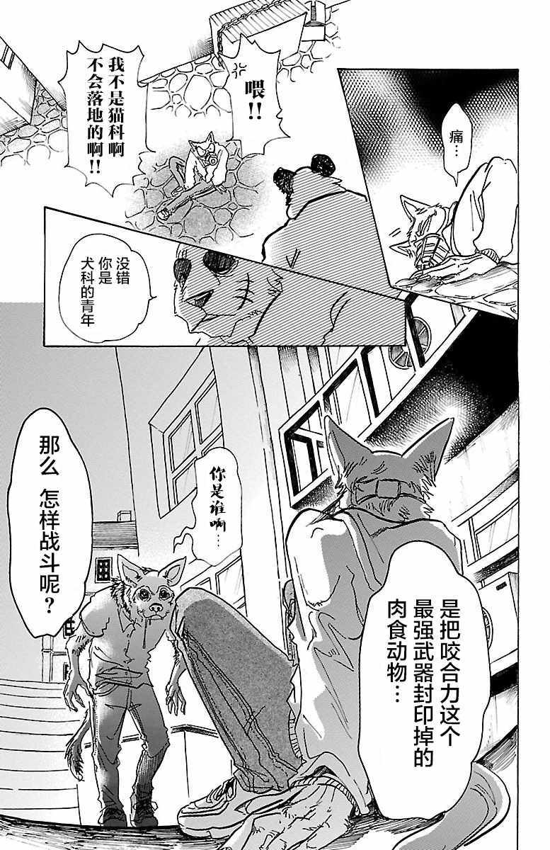 《BEASTARS》漫画最新章节第68话免费下拉式在线观看章节第【13】张图片