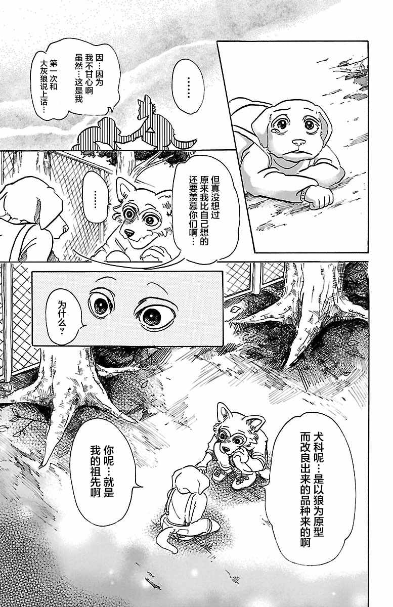 《BEASTARS》漫画最新章节第49话免费下拉式在线观看章节第【12】张图片