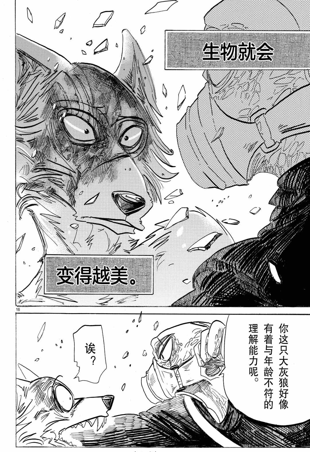 《BEASTARS》漫画最新章节第177话 试看版免费下拉式在线观看章节第【16】张图片